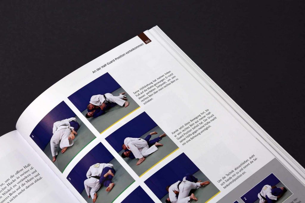 Das große Jiu Jitsu Buch Auszug Braungurt Mount