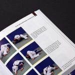 Das große Jiu Jitsu Buch Auszug Braungurt Mount