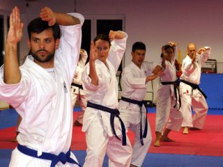Karate, Kungfu Kampfkunst lernen – Verschiedene Voraussetzungen