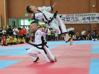 Hapkido – Eine bekannte koreanische Kampfkunst wie Taekwondo