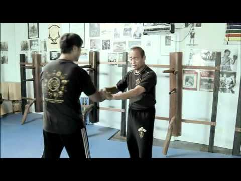 defendu jeet kune do