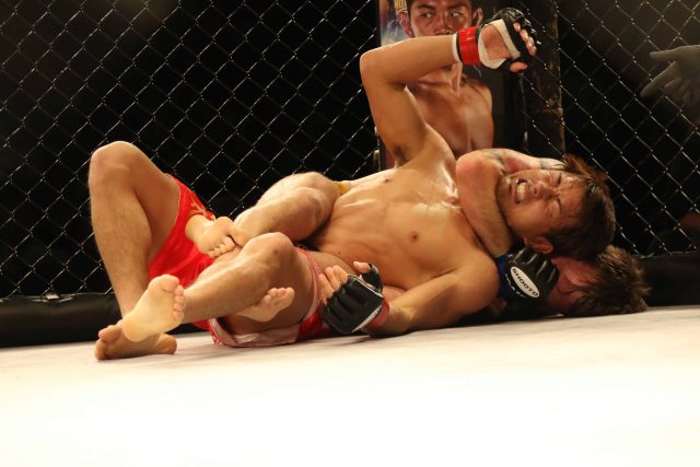 Mixed Martial Arts (MMA)