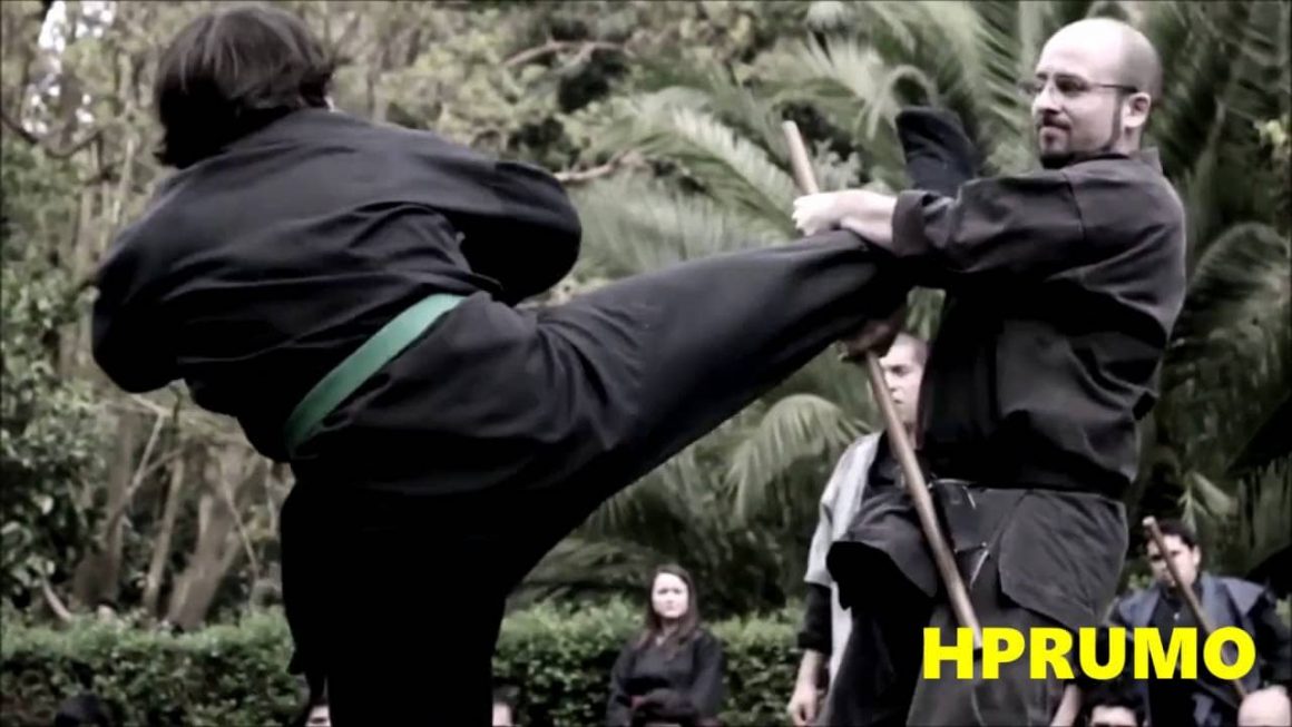 Ninjutsu – Die Kampfkunst der Ninja-Kämpfer
