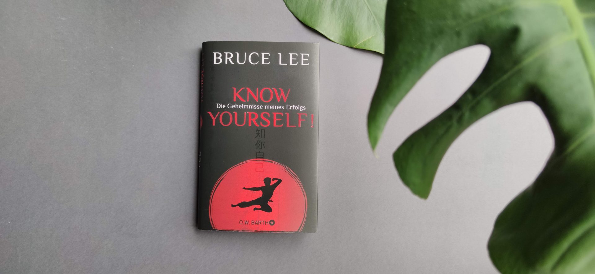 Bruce Lee Buch Know yourself! Die Geheimnisse meines Erfolgs
