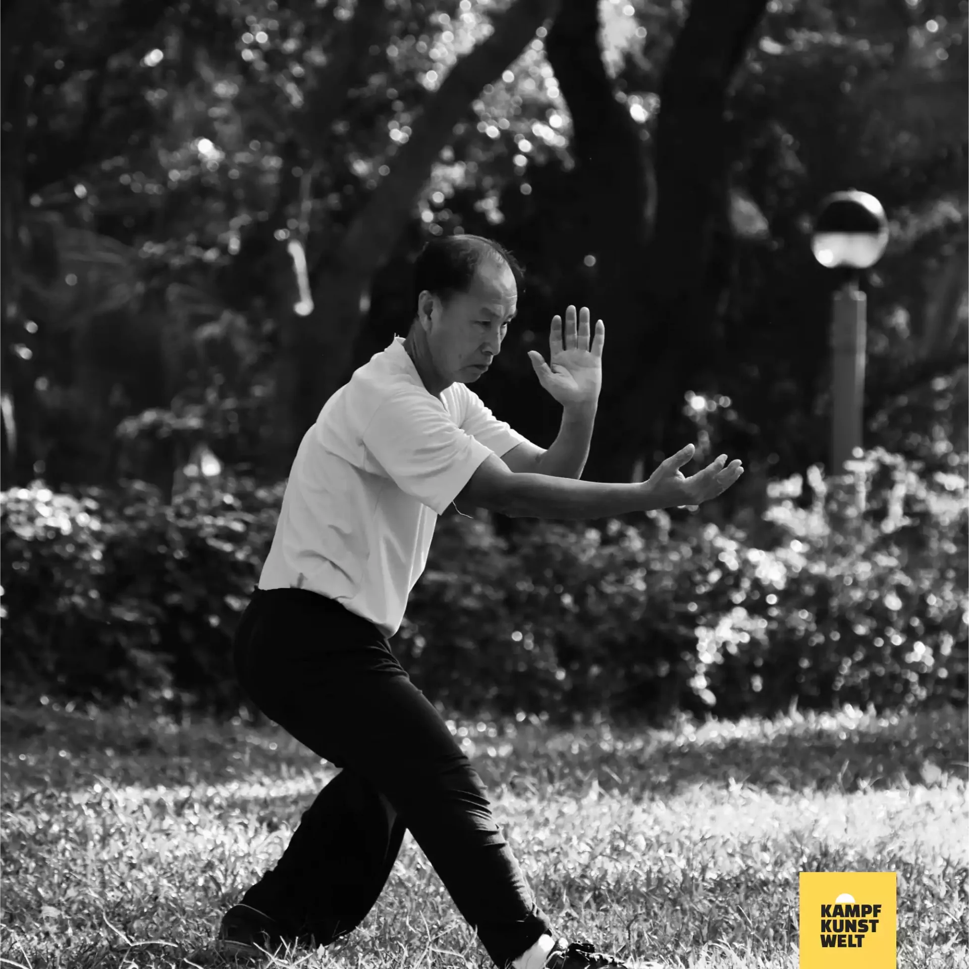 Tai Chi wird häufig im Park geübt