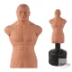 Century BOB XL verlängerter Torso - Boxdummy Frontansicht