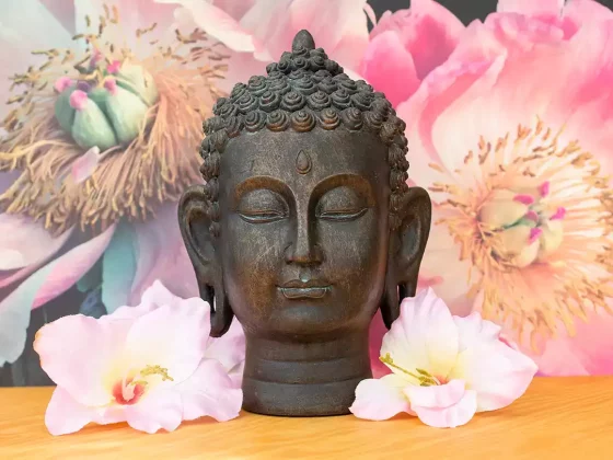 Meditieren: Wirkung auf Körper und Geist – Buddha Kopf mit Blüten im Hintergrund