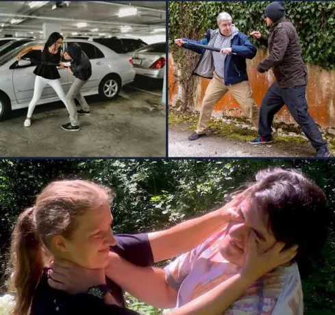DVD Doppelset Sicherheitsschirm und Stay Alive - Ausschnitte aus der Video Kurs Anleitung Abwehr gegen Angreifer