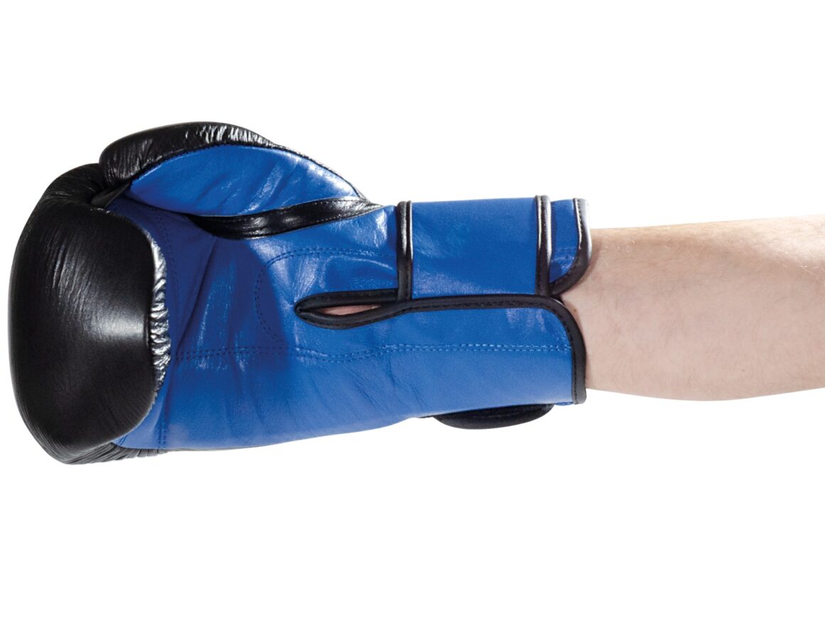 Kwon Kickboxhandschuhe Ko Champ schwarz-blau - Innenhandschuh Seitenasicht
