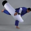 Danrho Canvas Judo Dummy - Judokämpfer bei einem Überwurf mit dem Grapplingdummy rechts