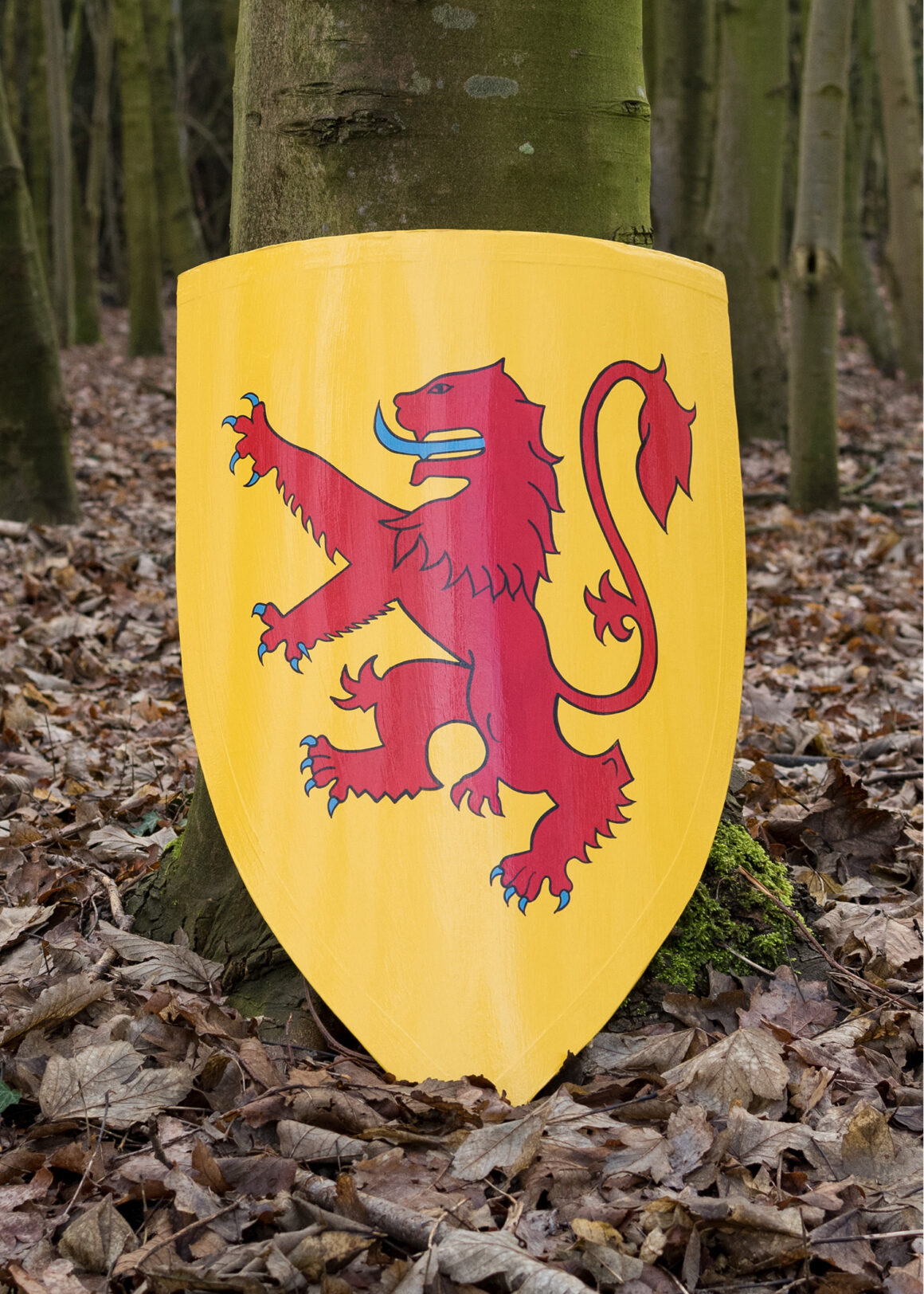 Schild von Robert Bruce, Schottisch, V-Form (Holz)