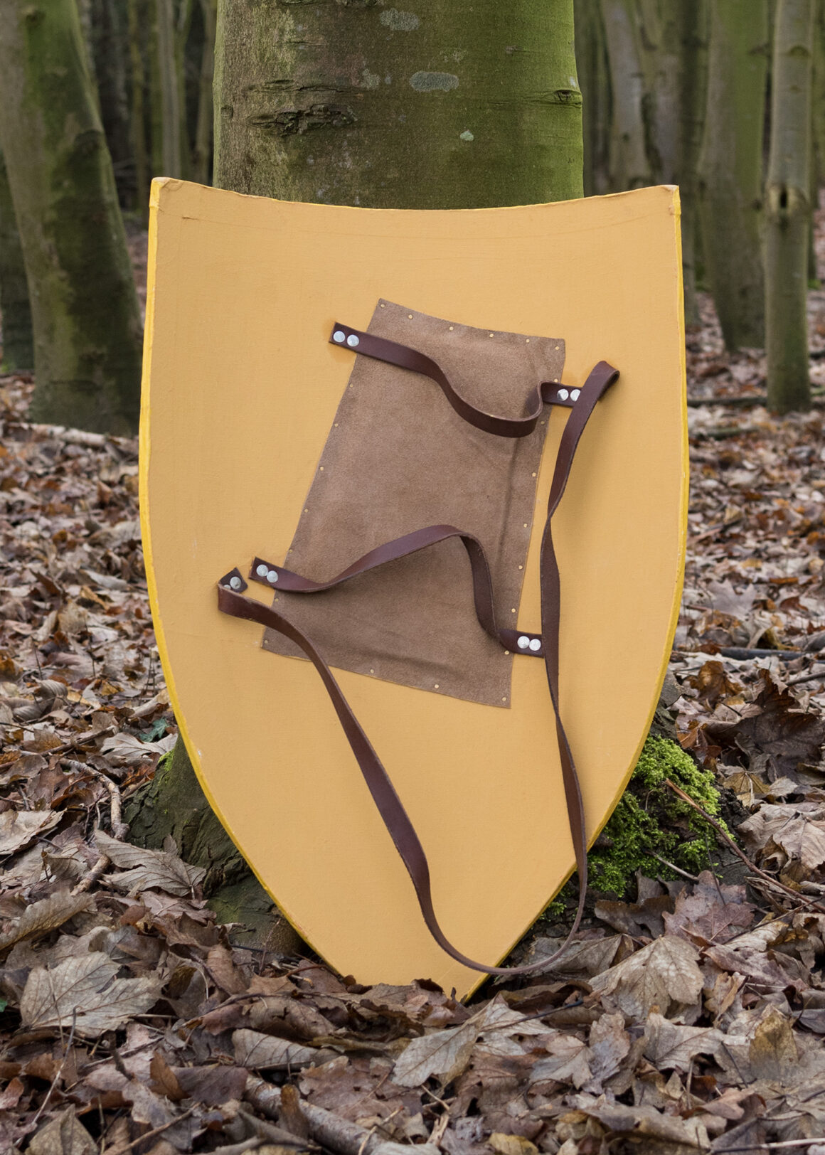 Schild von Robert Bruce, Schottisch, V-Form (Holz)