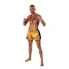 Kwon Professional Boxing Thai Kick Box Shorts Evolution gold - Ansicht an Kampfsportler