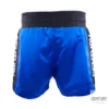 Century Wako C Gear Kickboxing Wettkampf Shorts blau-schwarz – Rückansicht