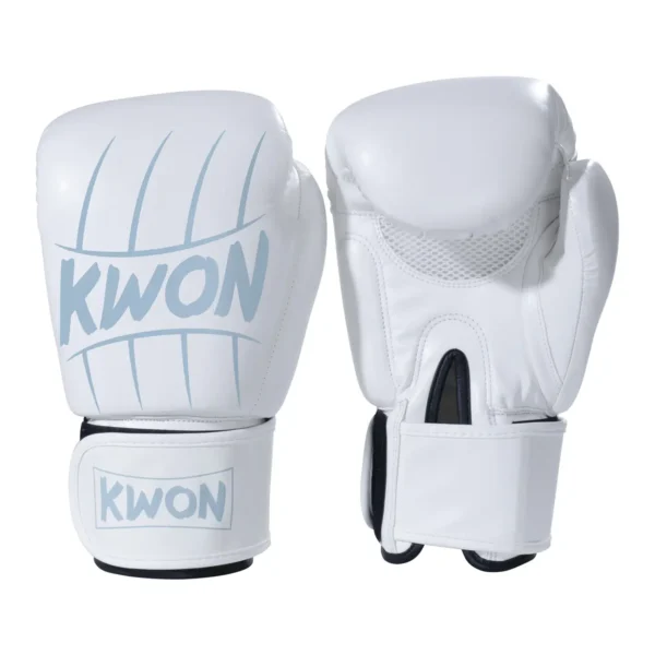 Kwon Boxhandschuhe Scratch Weiß-Silber - Ansicht Paar Rückhand und Innenhand stehend