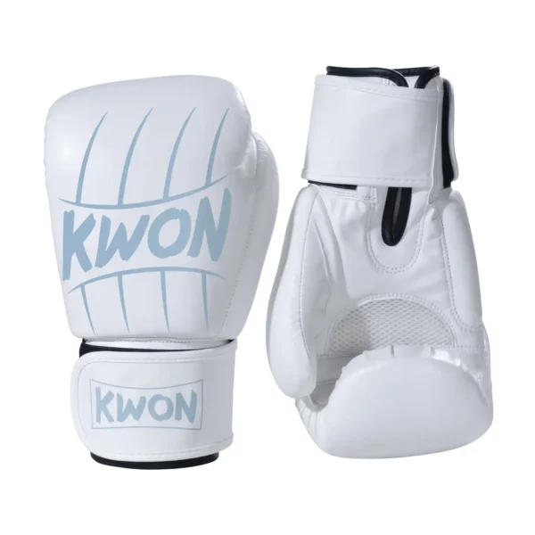 Kwon Boxhandschuhe Scratch Weiß-Silber - Ansicht Paar Rückhand stehend und Innenhand auf Kopf stehend