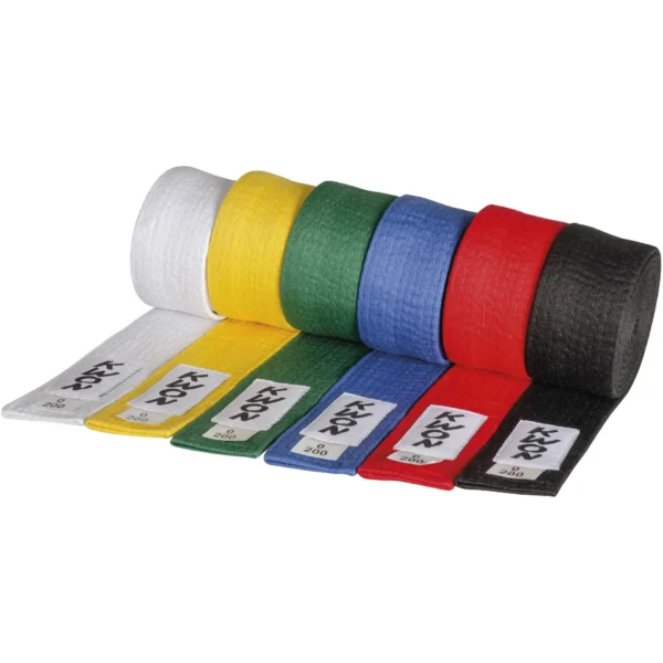 Kwon traditioneller Gürtel 5cm weiß, gelb, grün, blau, rot und schwarz - aufgerollt leicht schräge Vorderansicht