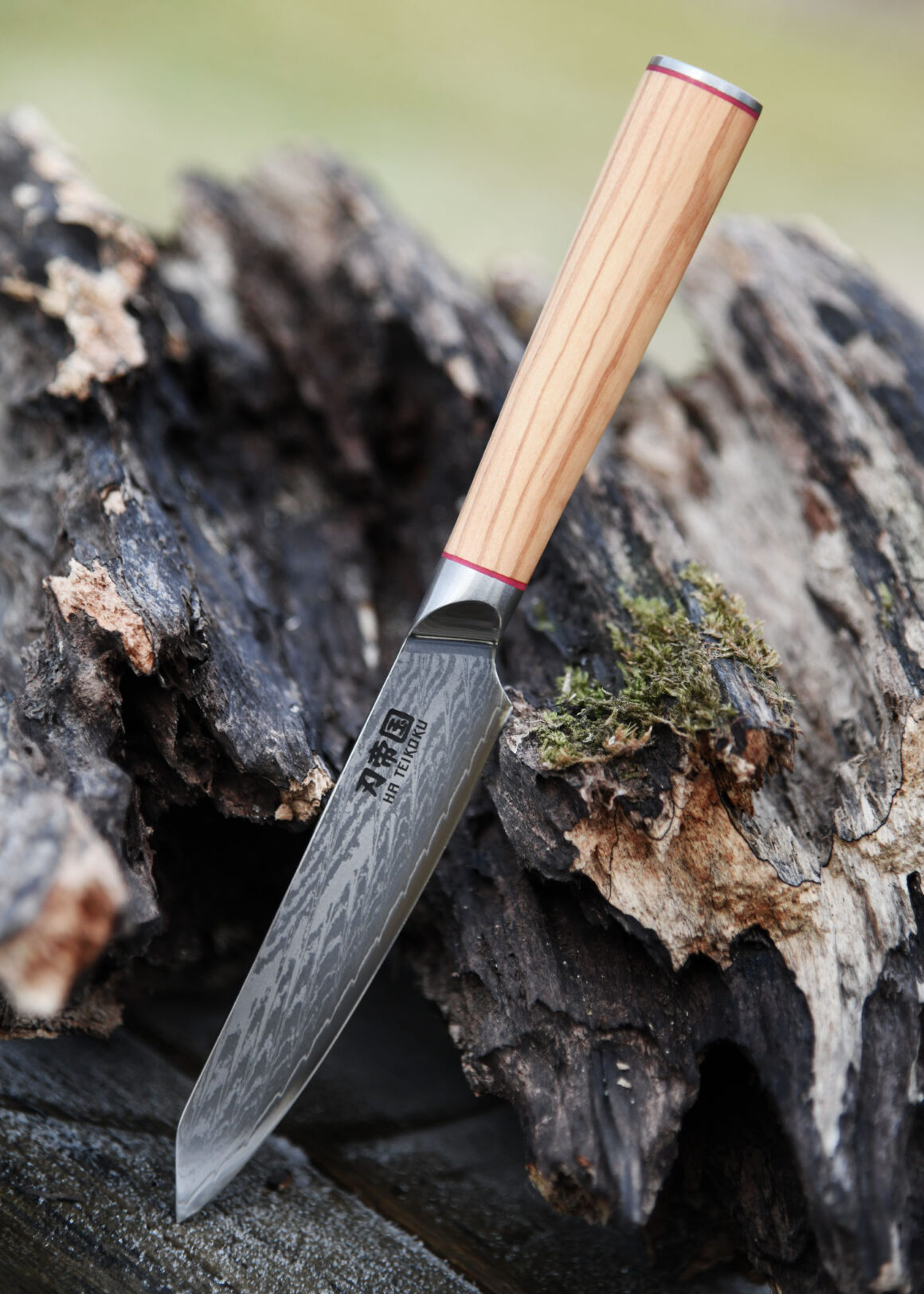 Ha Teikoku Allzweckmesser Damaststahl Olivenholz Griff - Messer lehnt an ein altes grause Holzstück auf einem Holztisch
