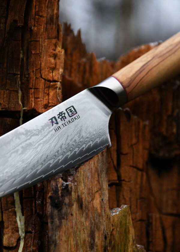 Ha Teikoku Kochmesser 16,5 cm Klingenlänge Damaststahl - Nahaufnahme Griff und Klinge liegt auf nassem Holzstamm auf