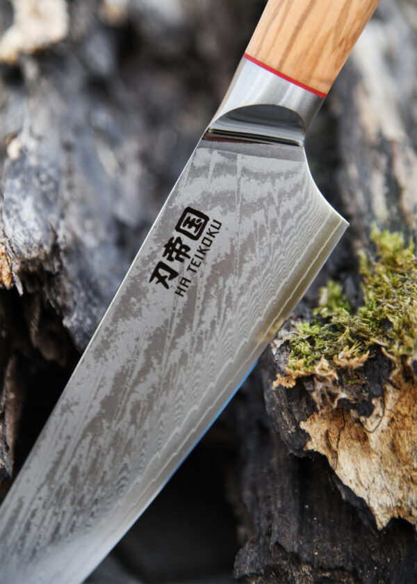 Ha Teikoku Kochmesser, 20 cm Klingenlänge, Damaststahl Olivenholz - Nahaufnahme Klinge und Griff lehnt an ein altes graues Holzstück, auf einem Holztisch