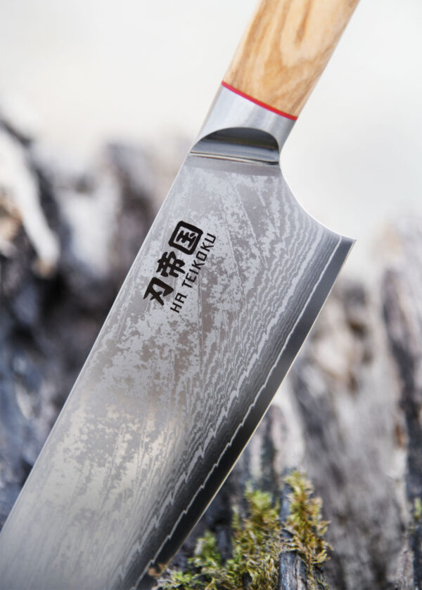 Ha Teikoku Kochmesser 24 cm Klingenlänge Damaststahl - Nahaufnahme Klinge lehnt an einen grauen holzstamm mit Moos, der hintergrund verschwommen
