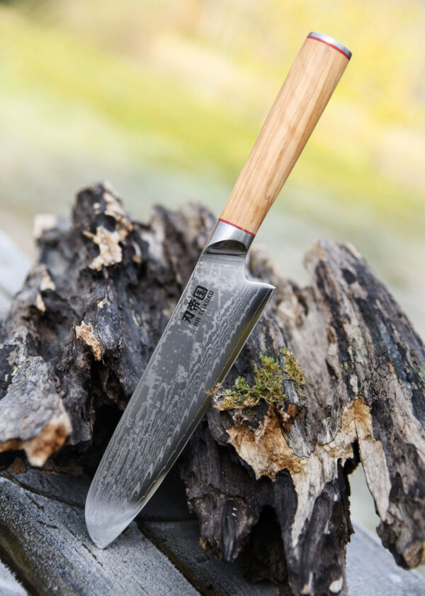Ha Teikoku Santoku Damaststahl Olivenholz Griff - Messer lehnt an ein graues altes Holzstück, die Klinge an einem Holztisch