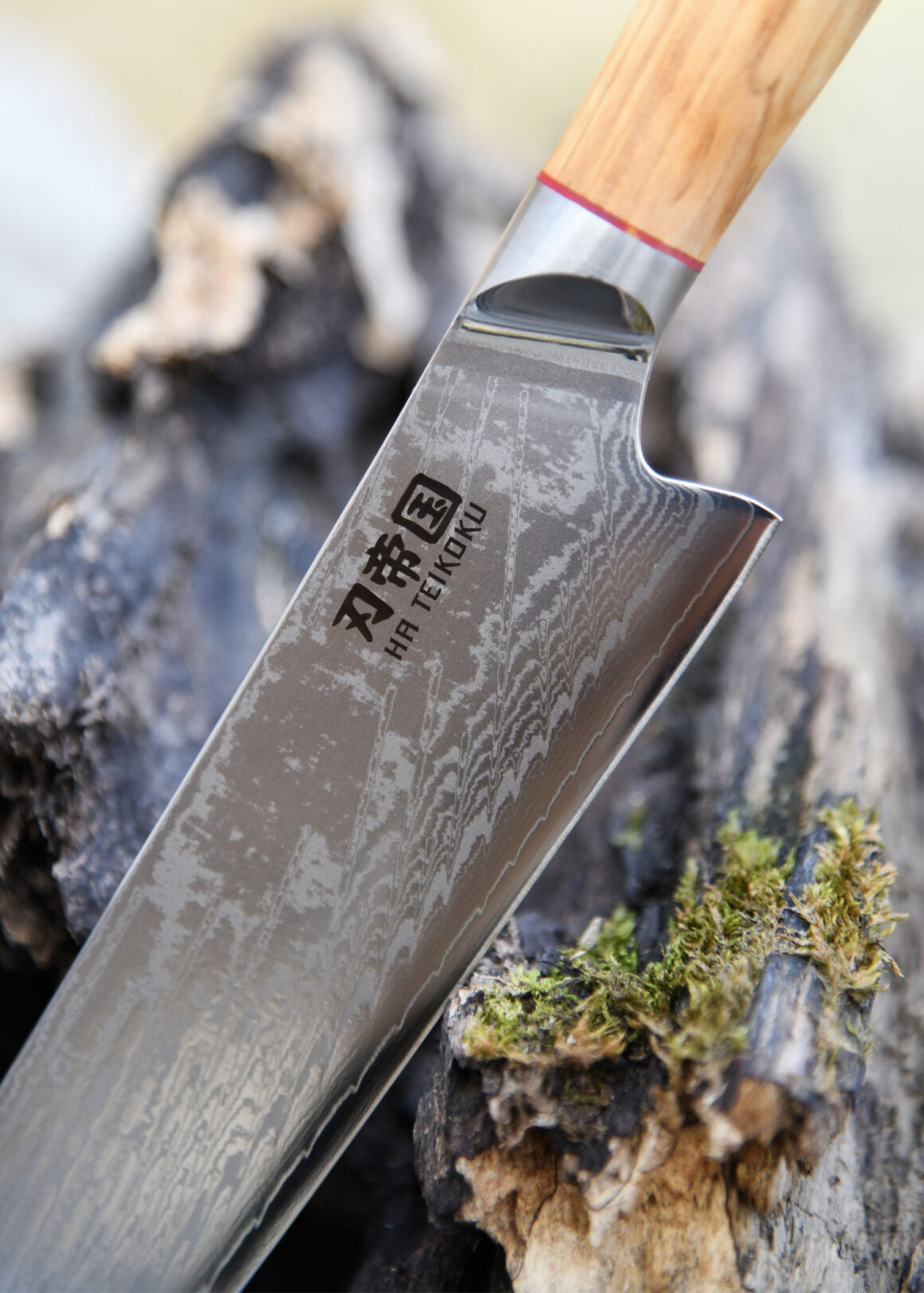 Ha Teikoku Santoku Damaststahl Olivenholz Griff - Nahaufnahme Messer lehnt an ein graues altes Holzstück