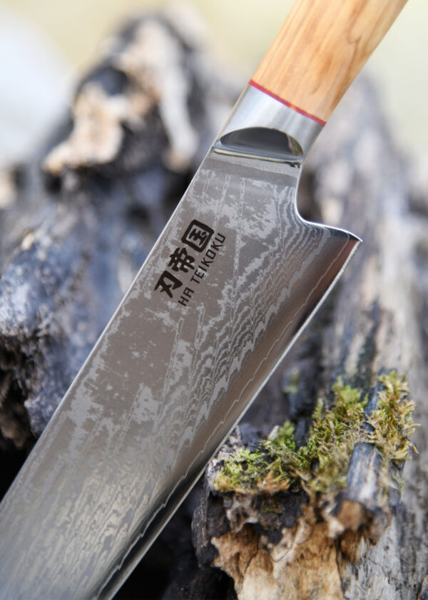 Ha Teikoku Santoku Damaststahl Olivenholz Griff - Nahaufnahme Messer lehnt an ein graues altes Holzstück
